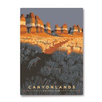 Canyonlands National Park Coyote Magnet