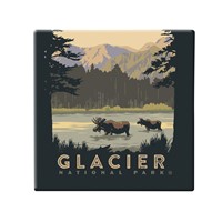 Glacier National Park Moose Square Magnet