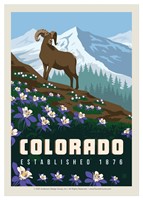 Columbine Colorado Ram & Flowers Single Magnet