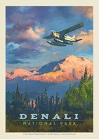 Denali NP Back Country Postcard