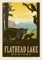 Flathead Lake Montana Bears Postcard