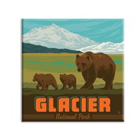 Glacier NP Bear Family Square Magnet