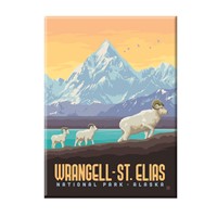 Wrangell-St. Elias NP Dall Sheep Magnet