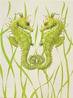 Seahorse Duo (BK) Petite Folded - W/Env