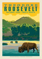 Theodore Roosevelt NP Bison