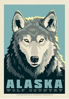 Alaska Wolf Country  Postcard