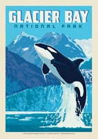 Glacier Bay NP Leaping Orca Postcard