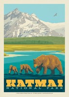 Katmai NP Mama Bear & Cubs Postcard