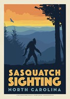 Sasquatch Sighting At Blue Ridge Parkway NC Postcard