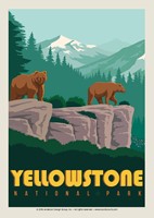 Yellowstone NP Wonderland Postcard