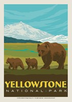 Yellowstone Bear Family