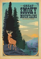 Great Smoky Deer Postcard