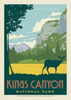 Kings Canyon NP Zumwalt Meadow Postcard