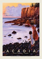Acadia NP Otter Cliffs Postcard
