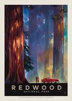 Redwood Among Giants Postcard