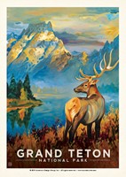 Grand Teton - Morning Mist Postcard