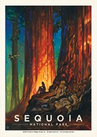 Sequoia National Park Nature's Cathedral Postcard