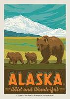 Alaska Wonderful Bear & Cubs Postcard