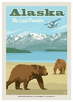 Alaska Frontier Plane & Bears Postcard