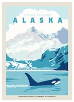 Alaska Inside Passage Orca Postcard