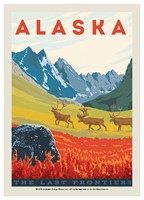 Alaska Frontier Caribou Postcard