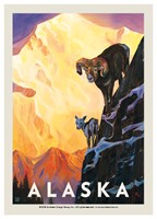 Alaska Bighorn Sheep Postcard