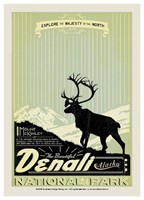 Denali Explore Majesty Postcard