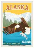 Alaska Eagle & Salmon Postcard
