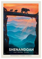 Shenandoah Bear Crossing Postcard