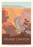 Grand Canyon River View Postcard