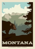 MT Mountain Bear Postcard