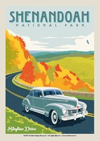 Shenandoah Skyline Drive Postcard