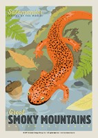 Great Smoky Salamander Postcard