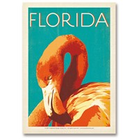 FL Flamingo Postcard