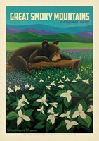 Great Smoky Wildflower Heaven Postcard
