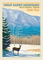 Great Smoky Cades Cove Postcard