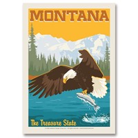 MT Eagle & Salmon Postcard