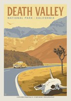 Death Valley Cow Skull Postcard