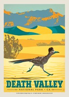 Death Valley Roadrunner Postcard