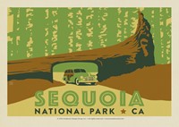 Sequoia Tunnel Log Horizontal