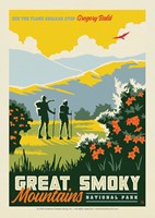 Great Smoky Gregory Bald Postcard