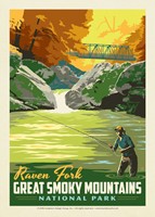 Great Smoky Raven Fork Postcard