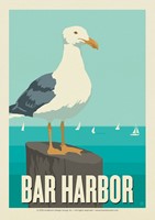 Gull Bar Harbor Postcard