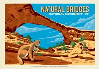 Natural Bridges National Monument, UT Postcard