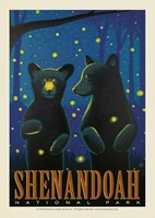 Shenandoah Firefly Cubs Postcard