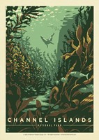 Channel Islands NP Sea Lions Postcard