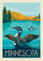 MN Loon Postcard