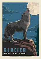 Glacier NP Howling Wolf Postcard