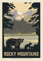 Rocky Mountains Bears Postcard