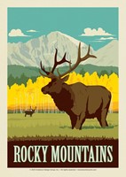 Standing Elk in the Rocky Mountains Postcard